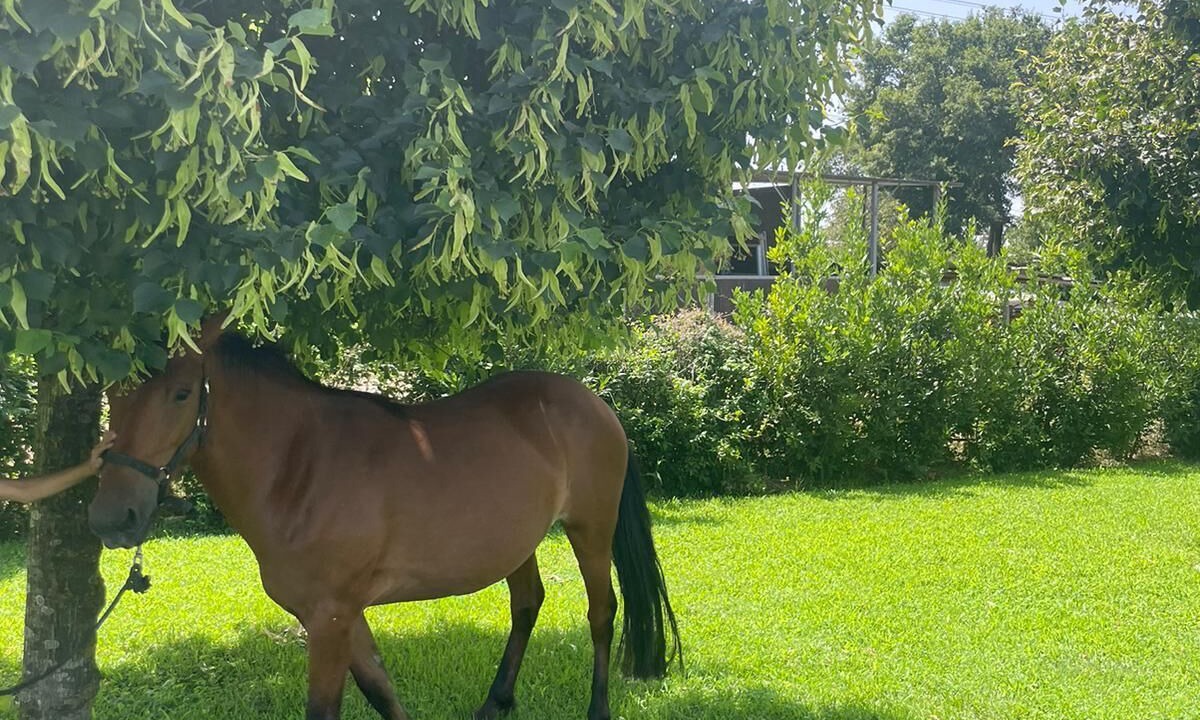 Photo of Outdoor in Rignano Flaminio