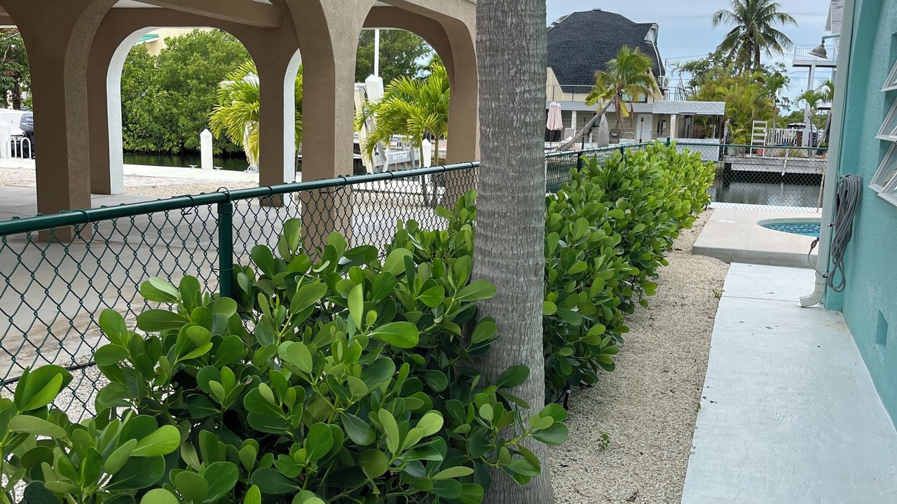 Photo of Others in Big Pine Key