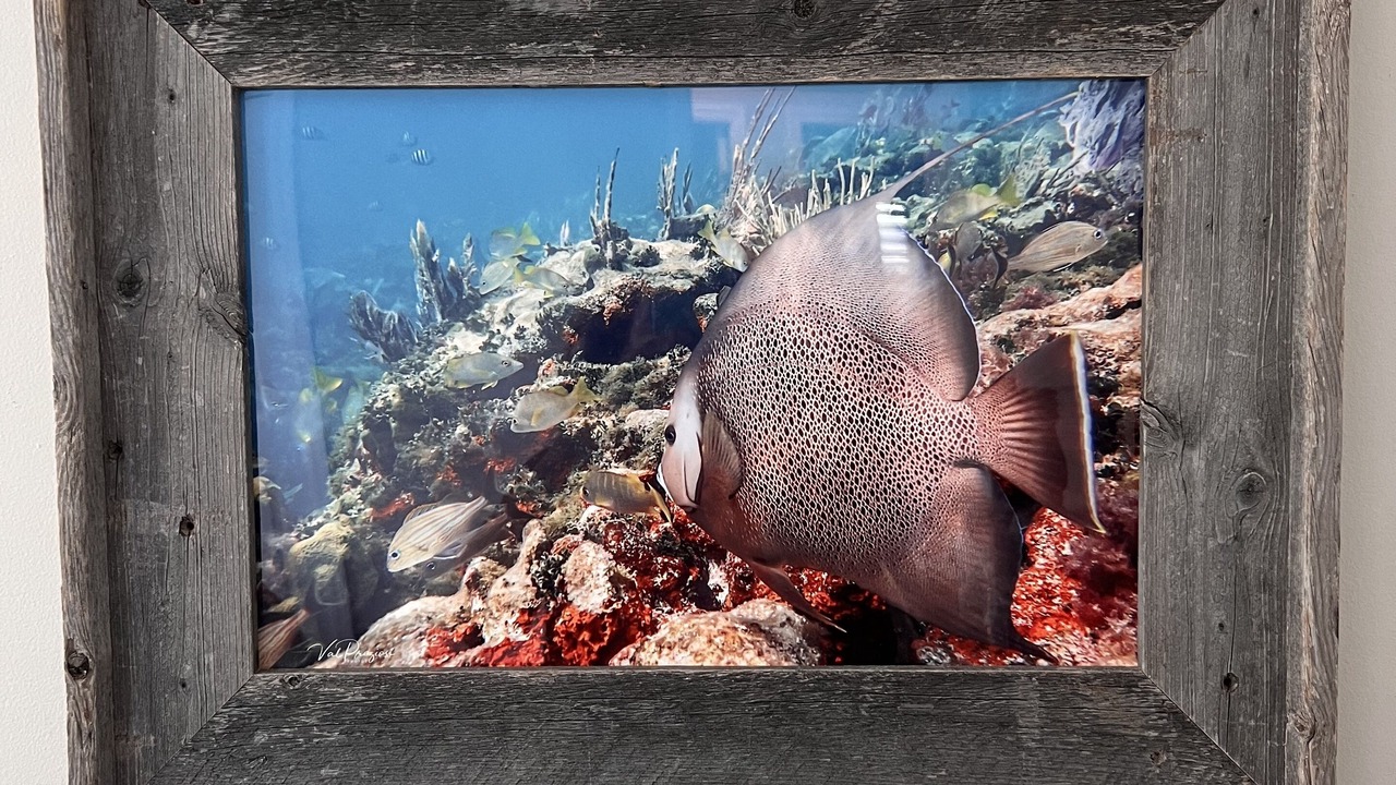 Photo of Others in Big Pine Key