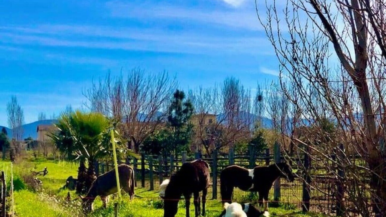 Photo of Outdoor in Tarquinia