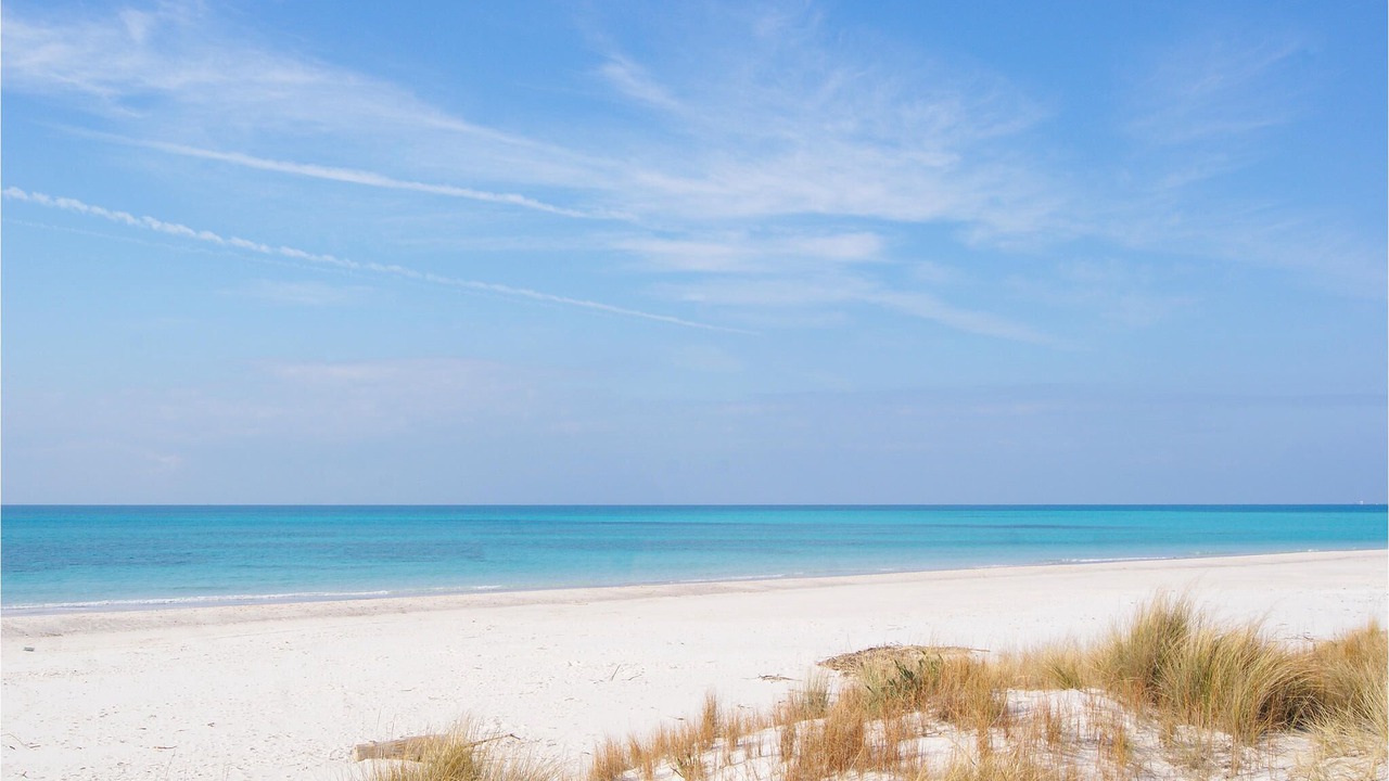 Photo of Others in Castellina Marittima