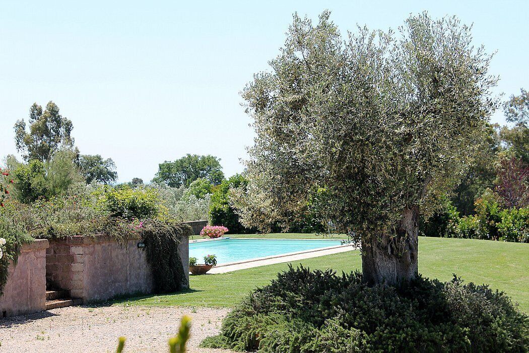 Photo of Outdoor in Montalto di Castro