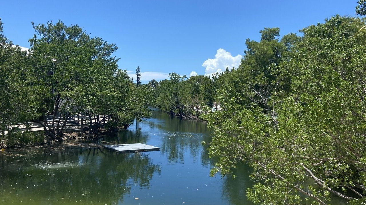 Photo of Others in Pirates Cove