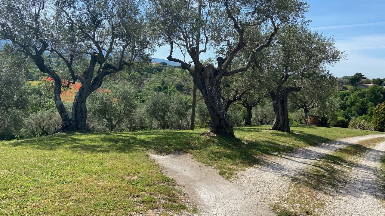 Photo of Outdoor in Viterbo