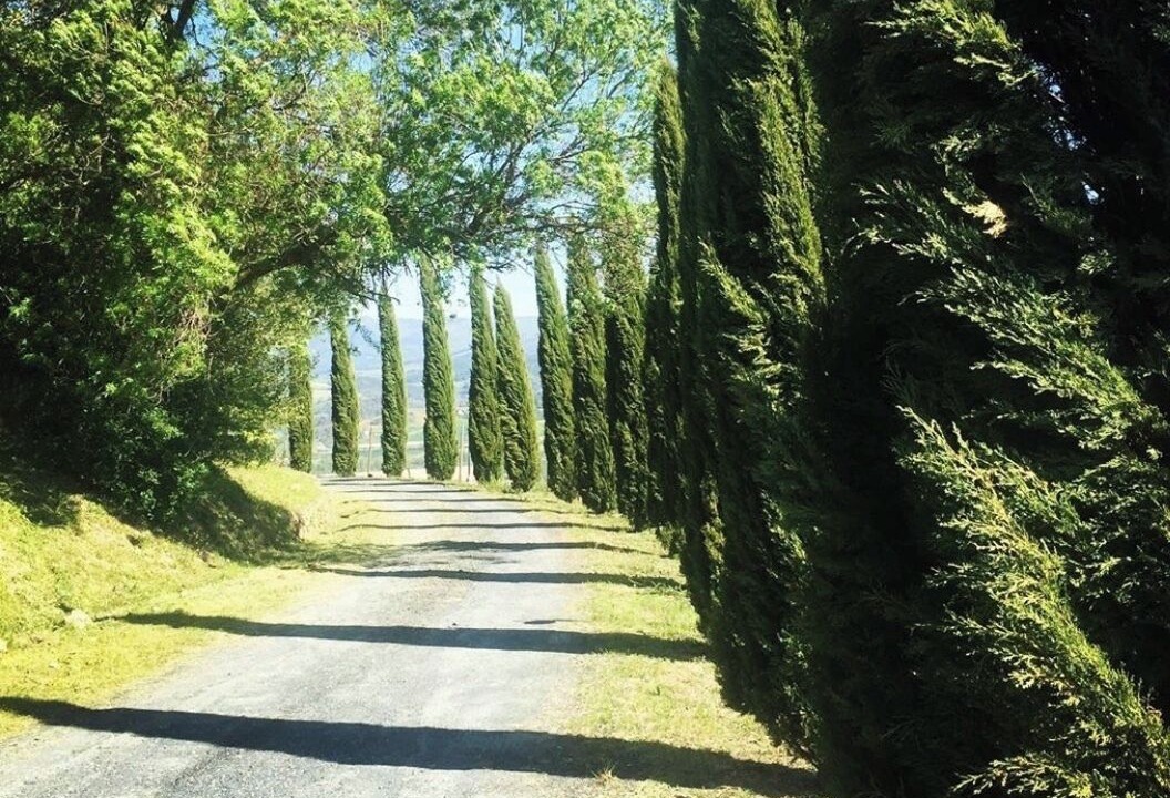 Photo of Outdoor in Montecatini Val di Cecina