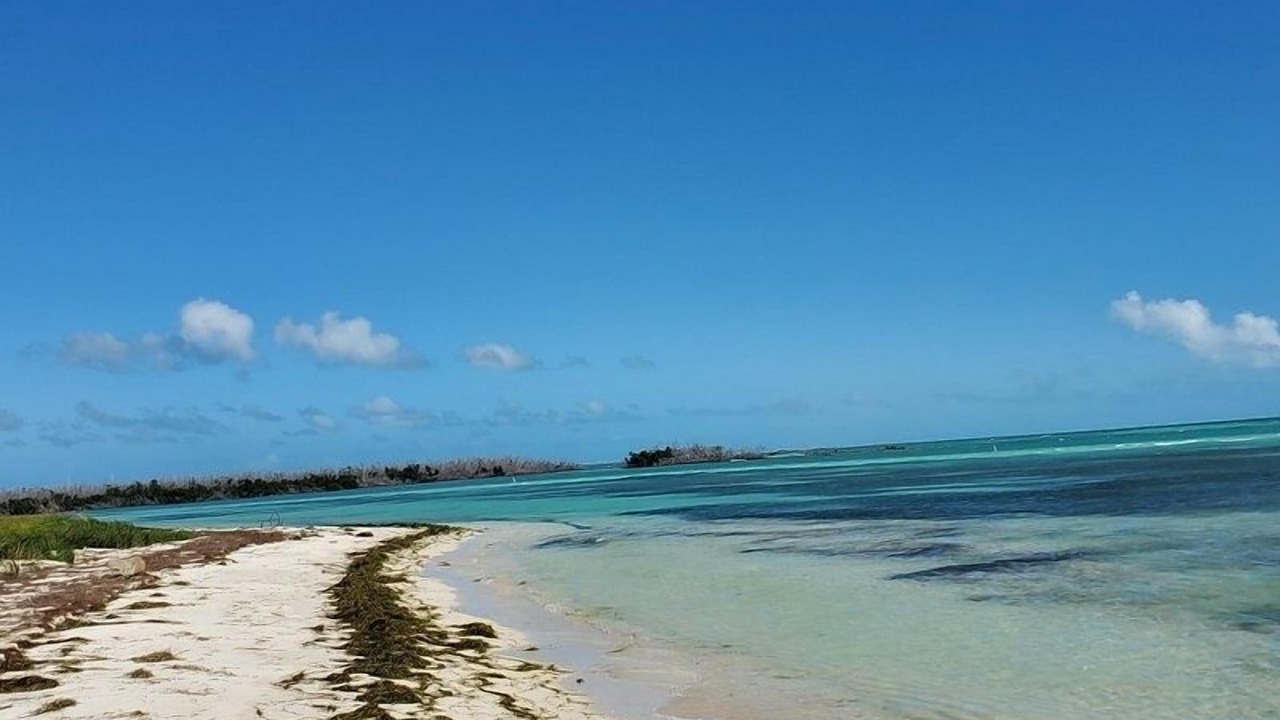 Photo of Others in Big Pine Key