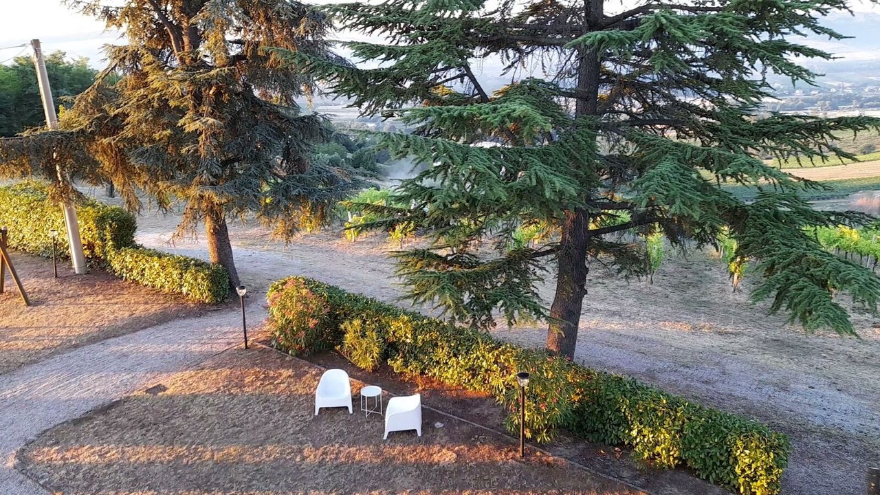 Photo of Others in Ortezzano
