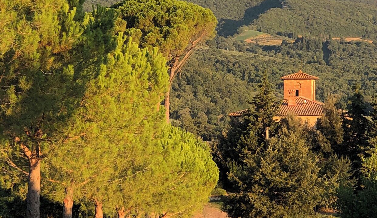 Photo of Others in Cetona