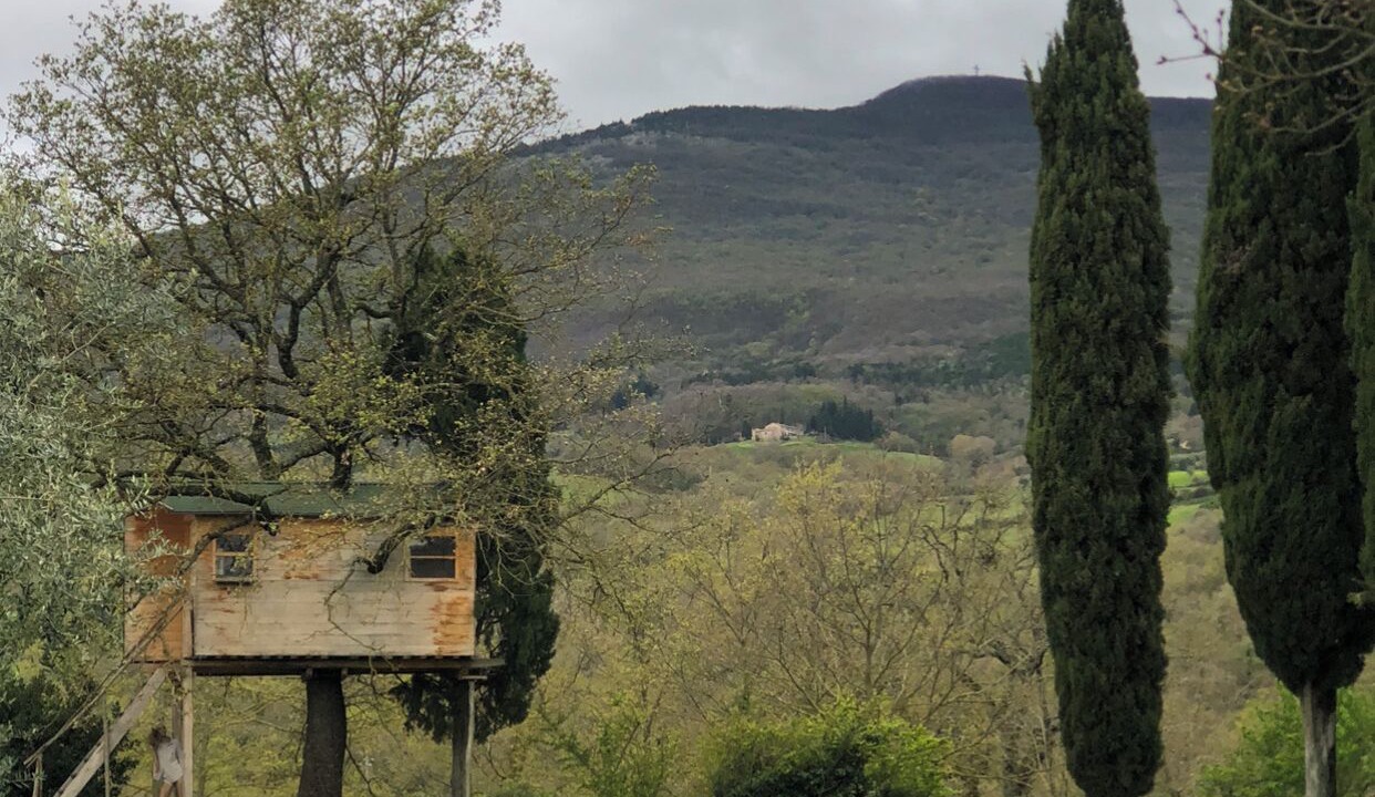 Photo of Others in Cetona