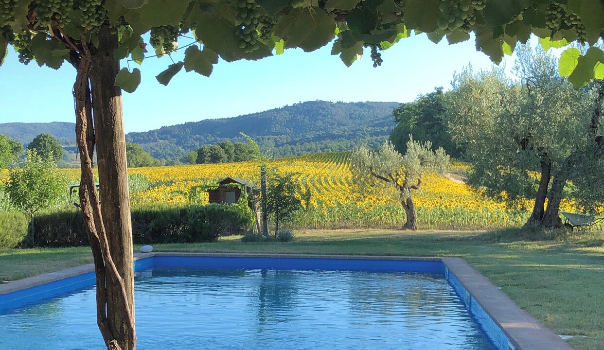 Photo of Outdoor in Cetona