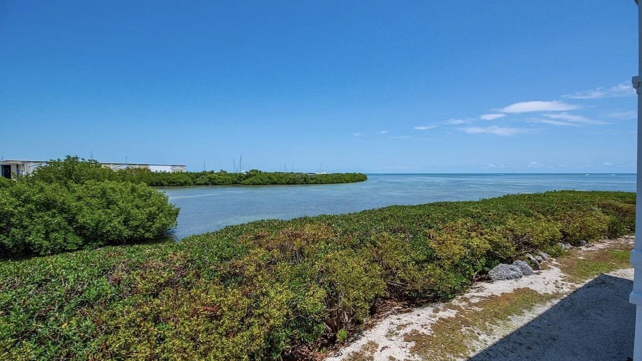 Photo of Others in Key West