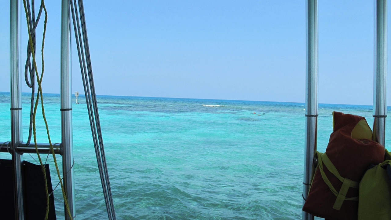 Photo of Others in Key Largo