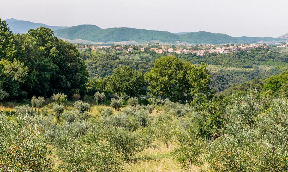 Photo of Others in Torricella in Sabina