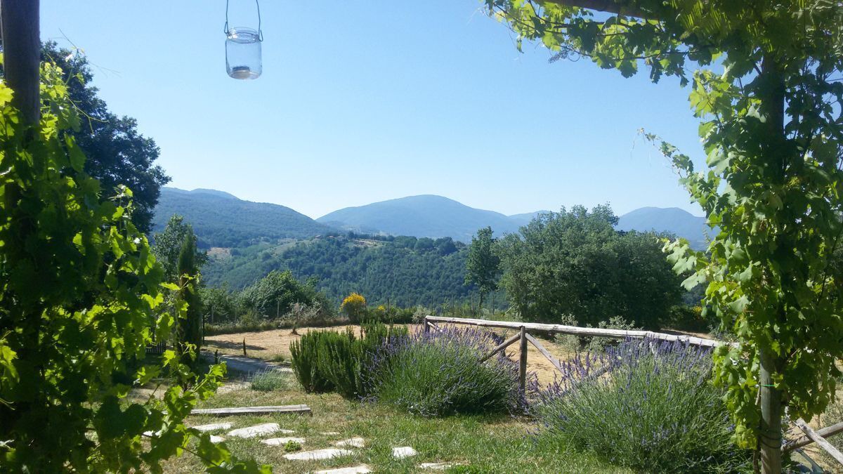 Photo of Others in Torricella in Sabina