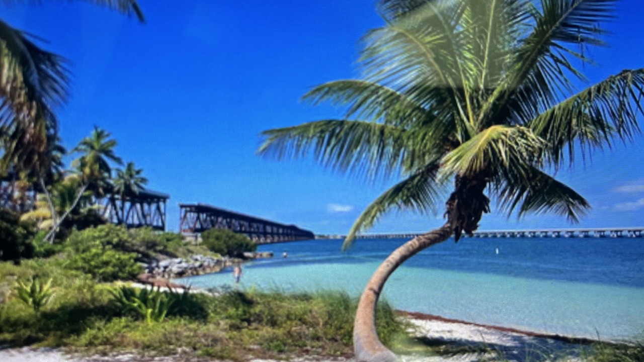 Photo of Others in Summerland Key
