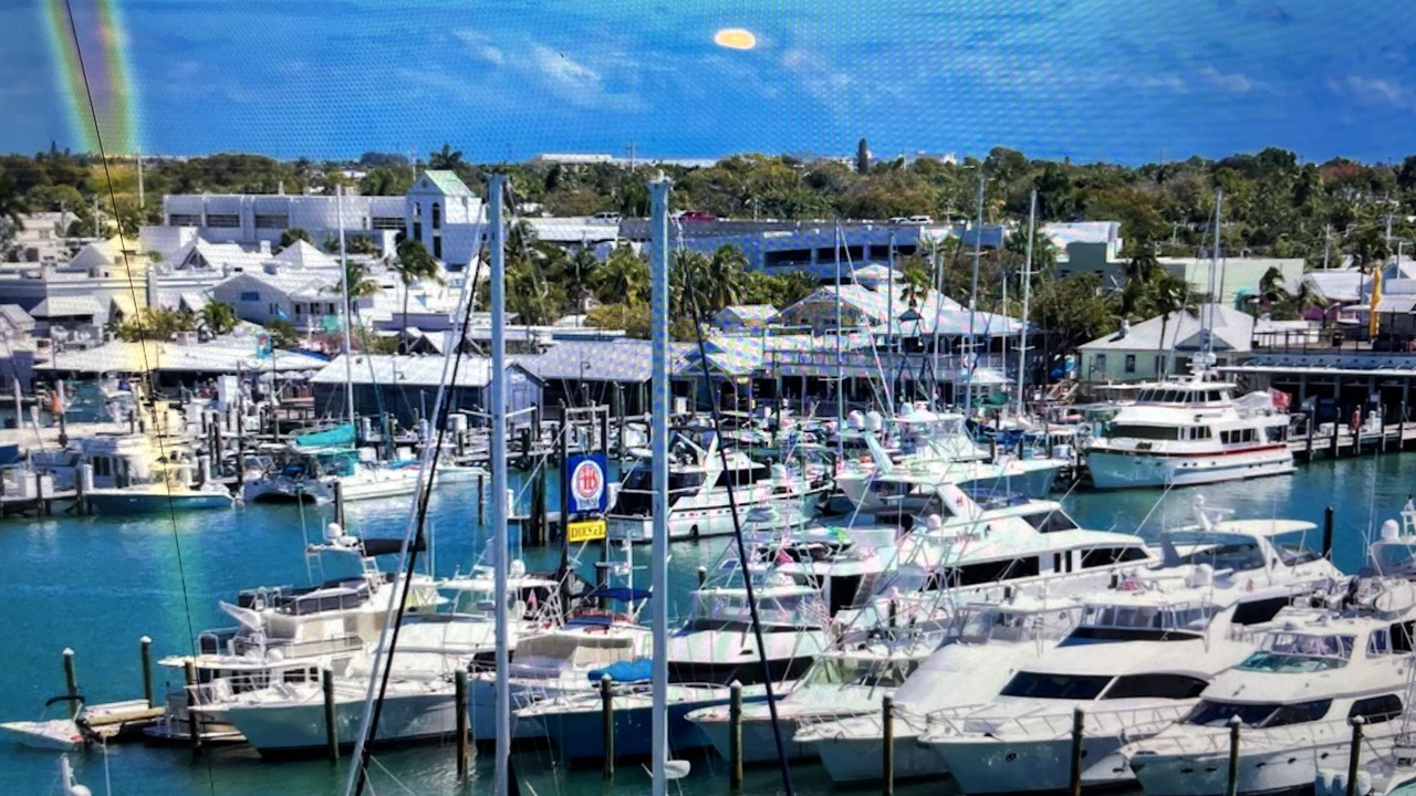 Photo of Others in Summerland Key