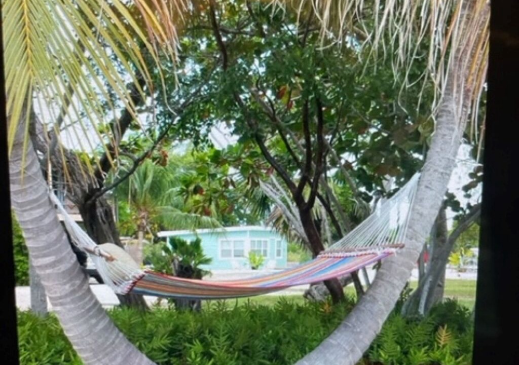 Photo of Others in Summerland Key