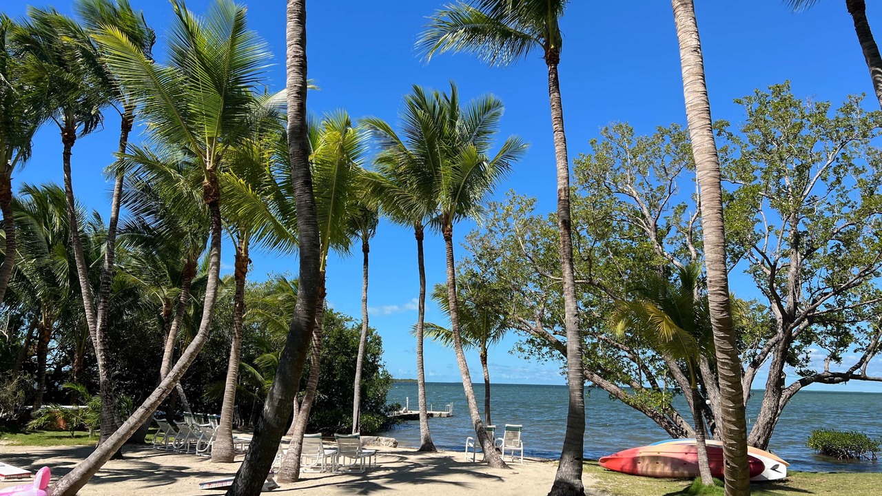 Photo of Others in Tavernier