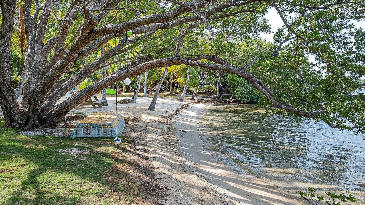 Photo of Others in Tavernier