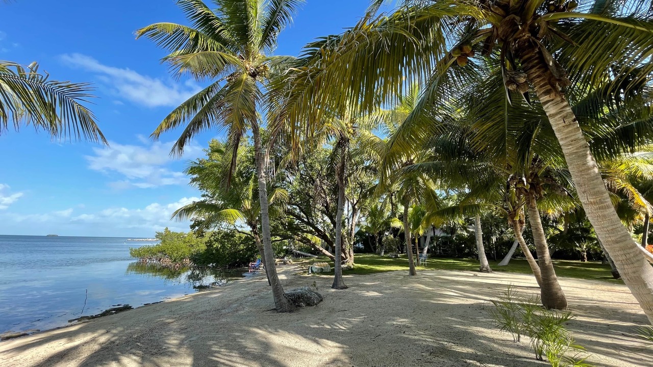 Photo of Others in Tavernier