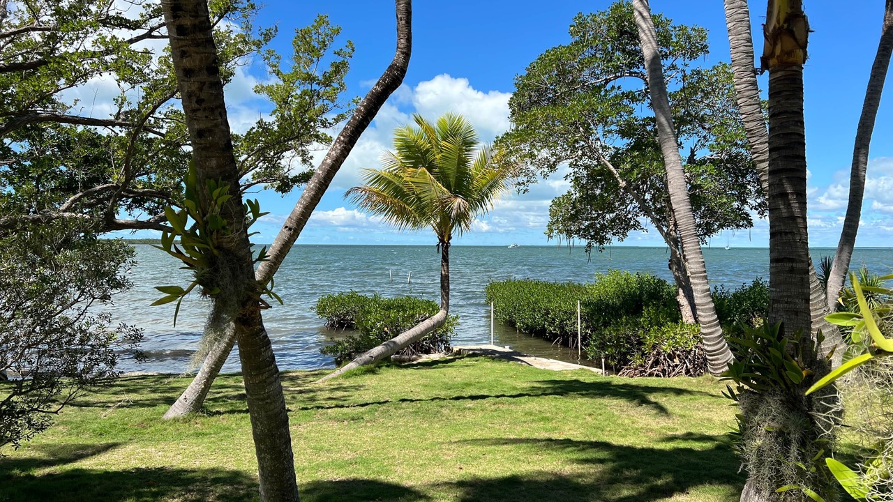 Photo of Outdoor in Tavernier