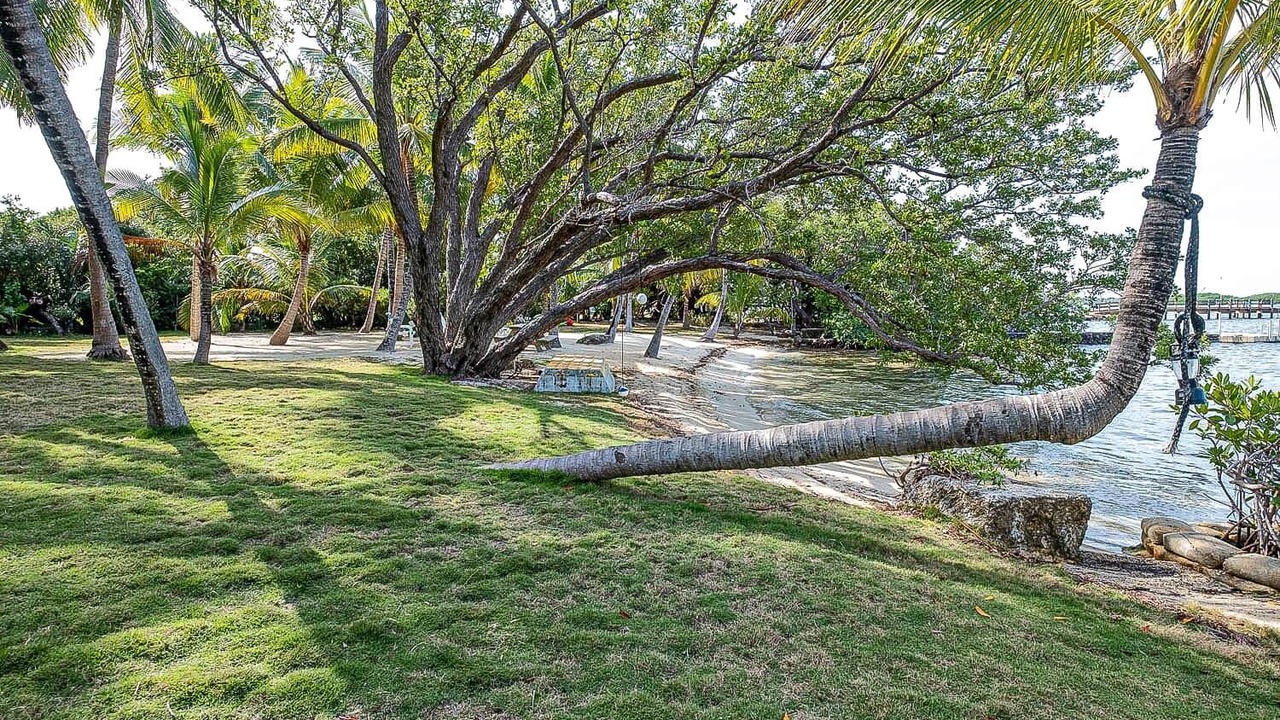 Photo of Others in Tavernier