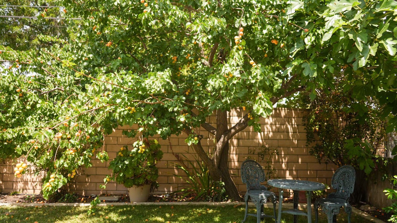 Photo of Outdoor in Bonita