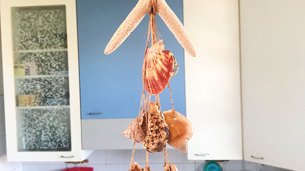 Photo of Kitchen in Anzio