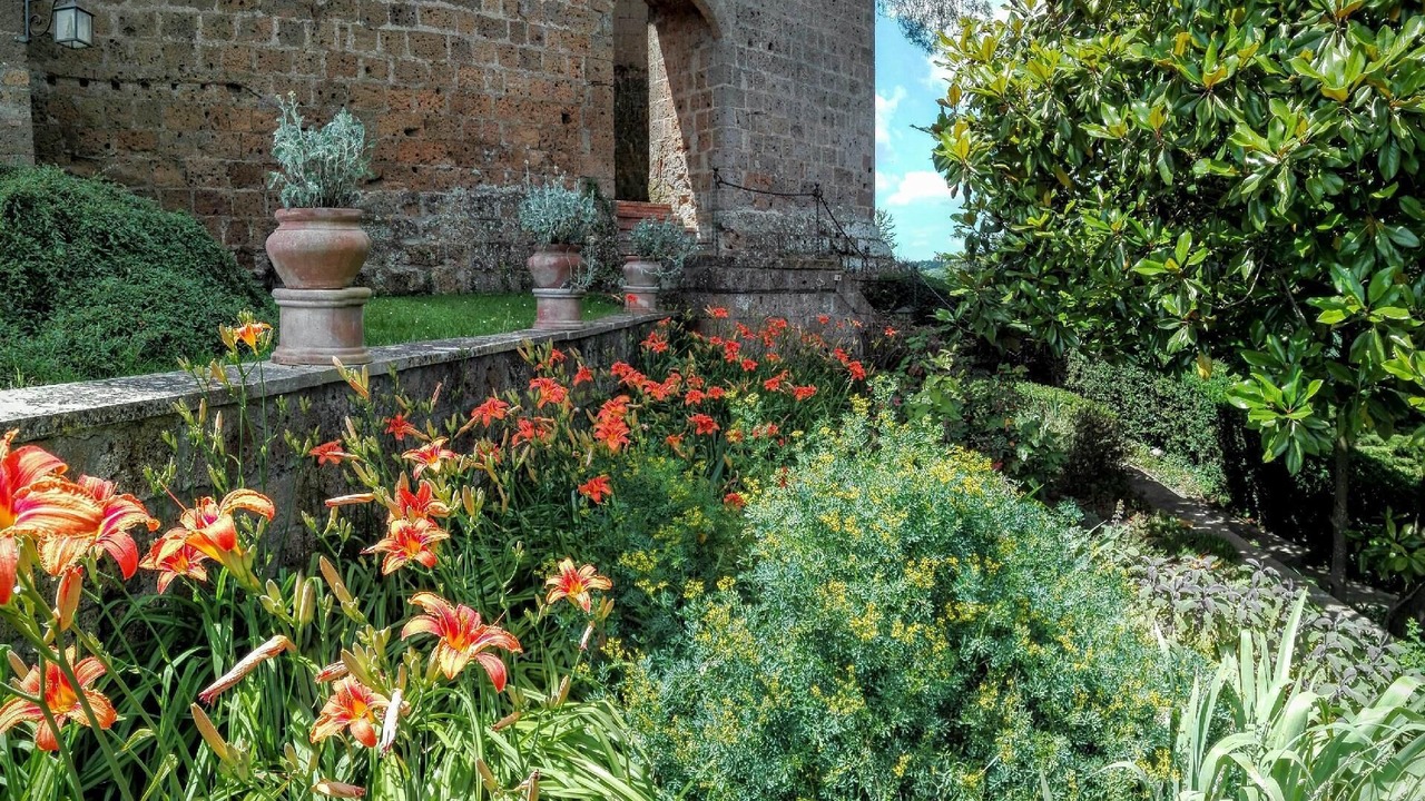 Photo of Outdoor in Proceno