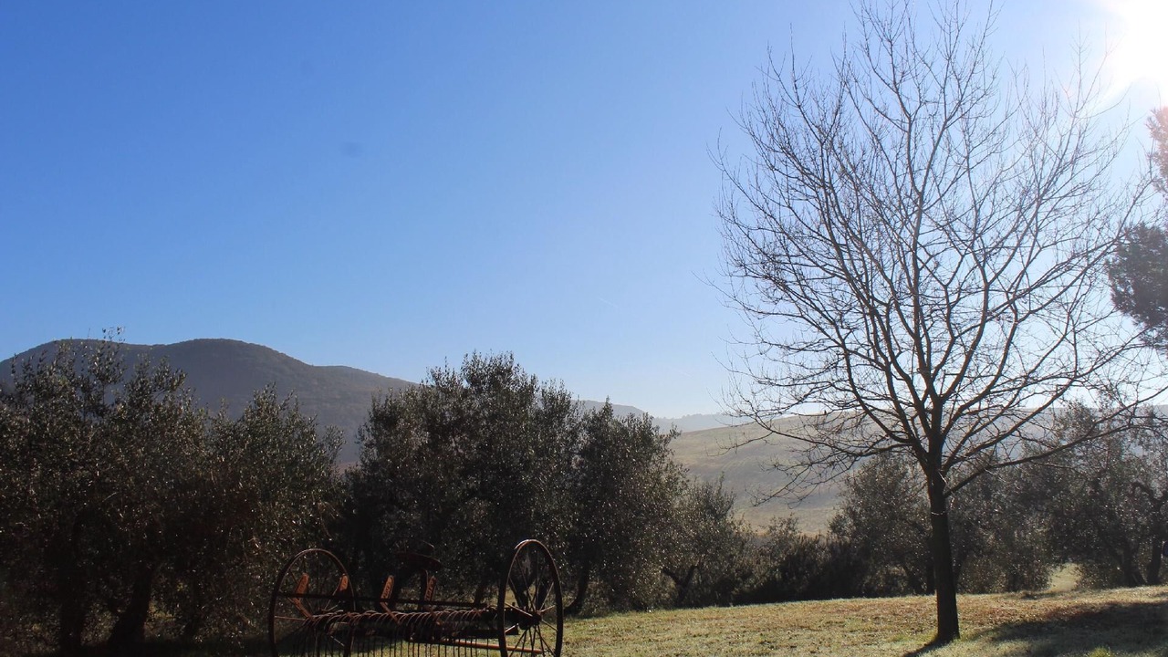Photo of Outdoor in Castellina Marittima
