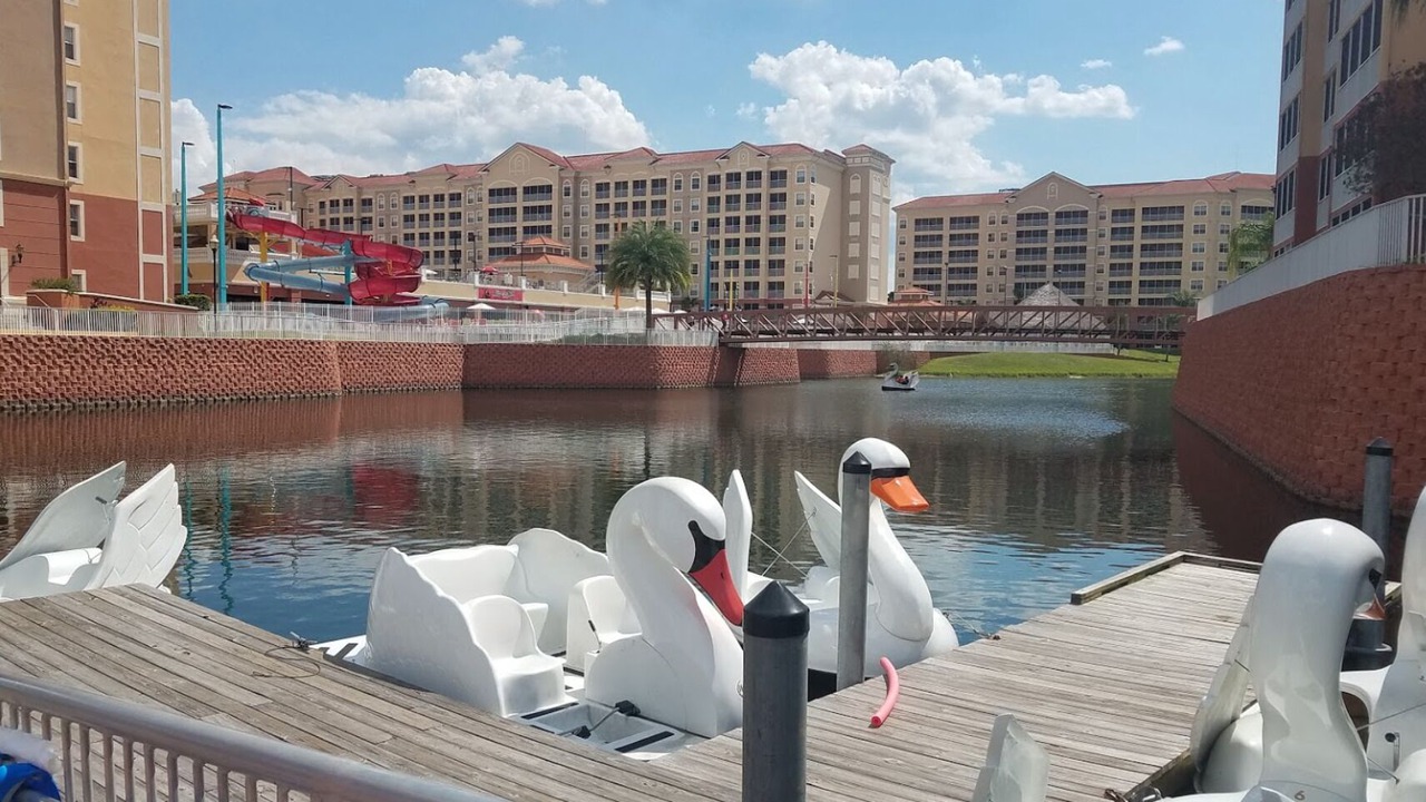 Photo of Outdoor in West Kissimmee