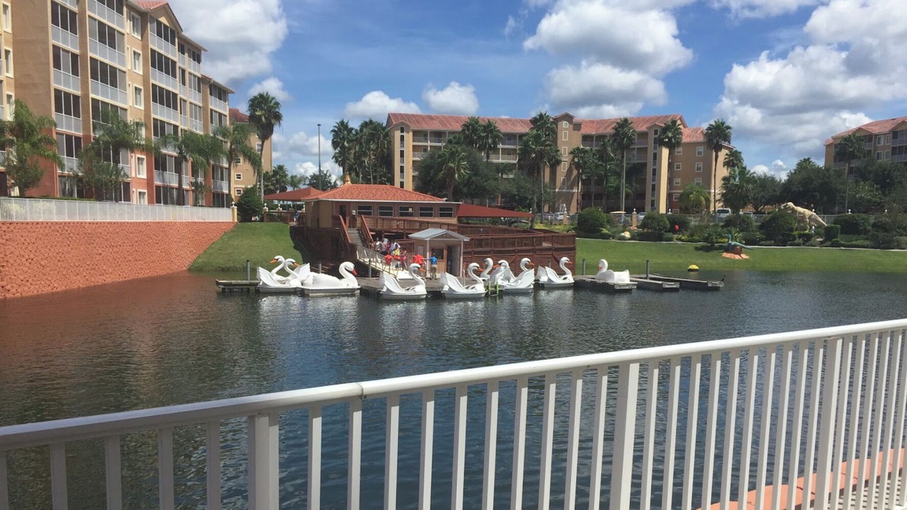 Photo of Outdoor in West Kissimmee