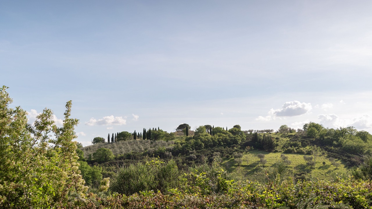Photo of Others in Assisi