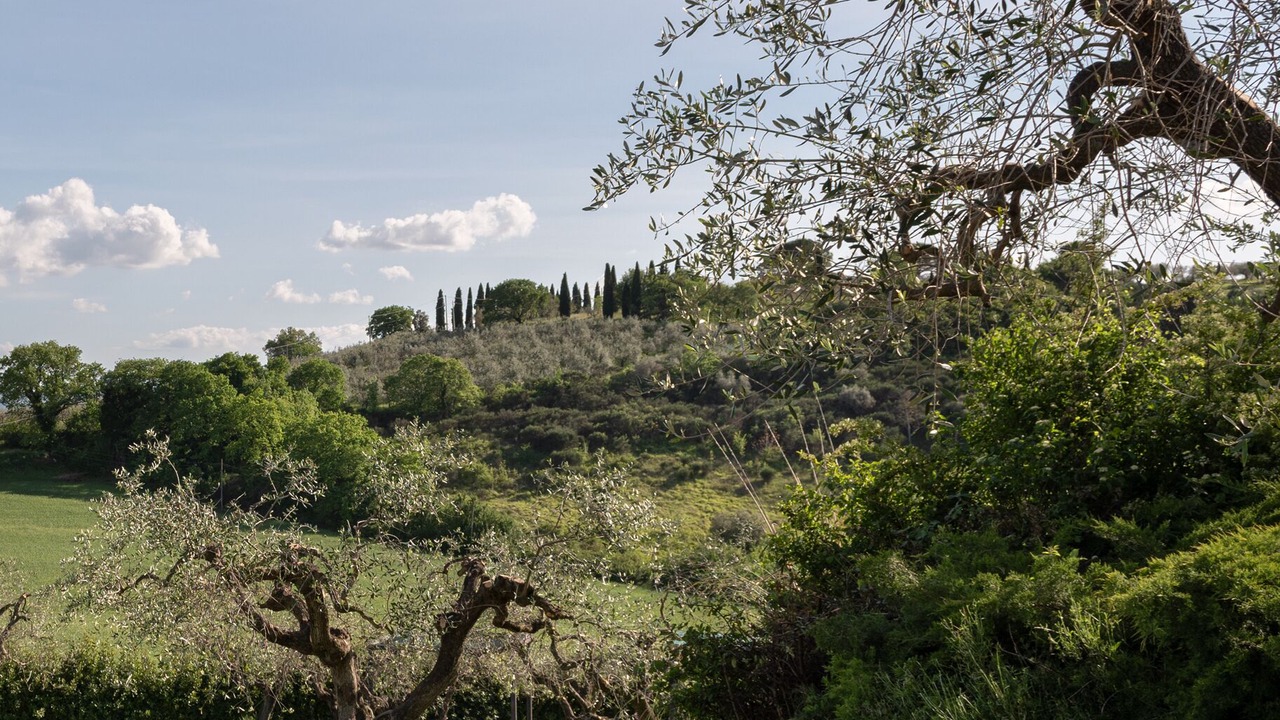 Photo of Outdoor in Assisi