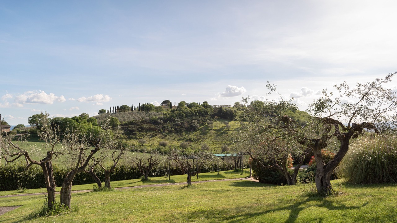 Photo of Outdoor in Assisi