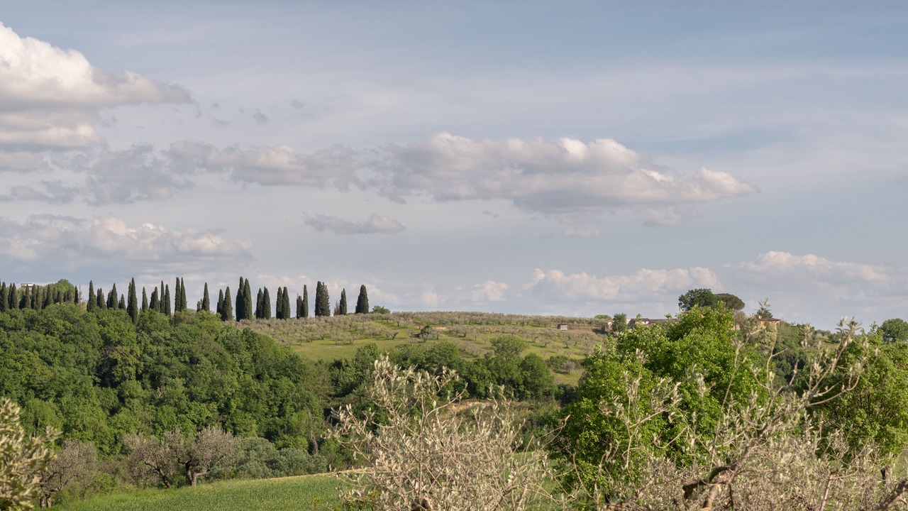 Photo of Outdoor in Assisi