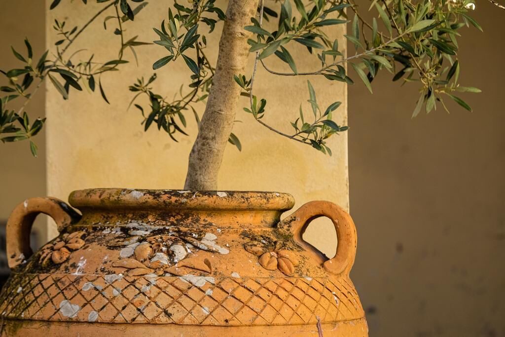 Photo of Outdoor in Bivio Lugnano
