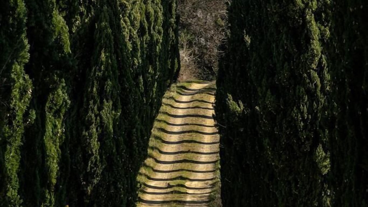 Photo of Outdoor in Bivio Lugnano