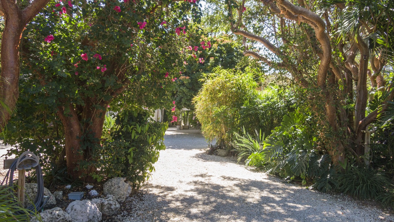 Photo of Others in Summerland Key