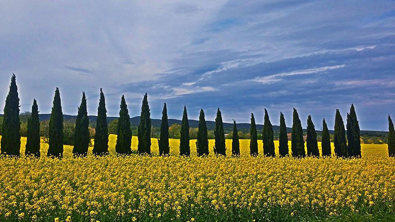 Photo of Others in Bivio di Ravi