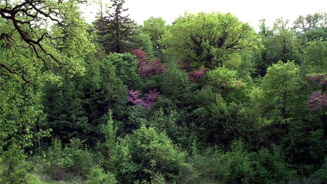Photo of Others in Sant'Anatolia di Narco