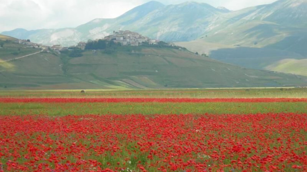 Photo of Others in Sant'Anatolia di Narco