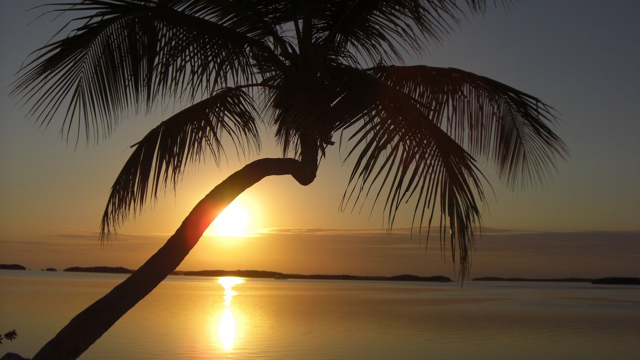 Photo of Others in Key Largo