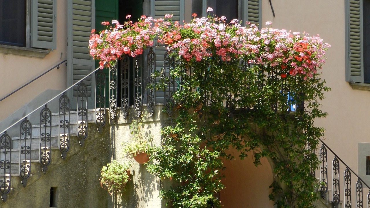 Photo of Outdoor in Le Piazze