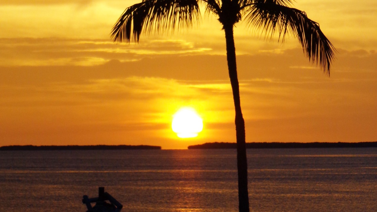 Photo of Others in Tavernier