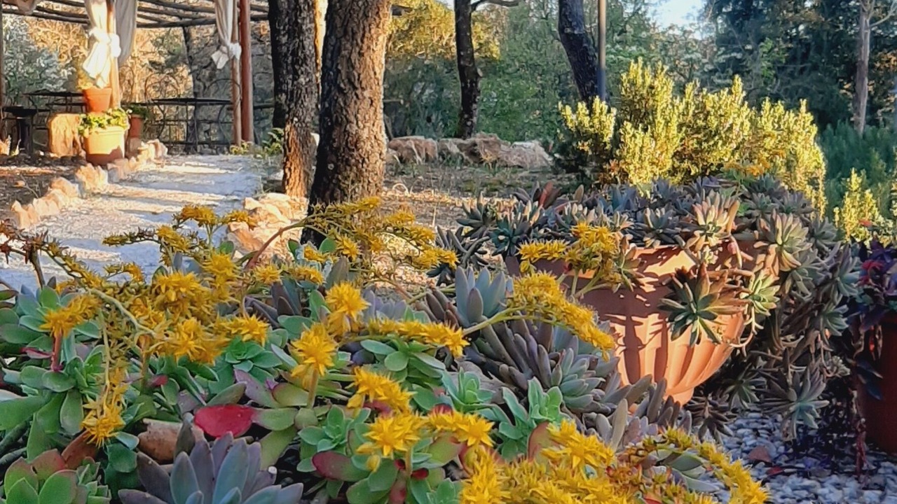 Photo of Outdoor in Monterotondo Marittimo