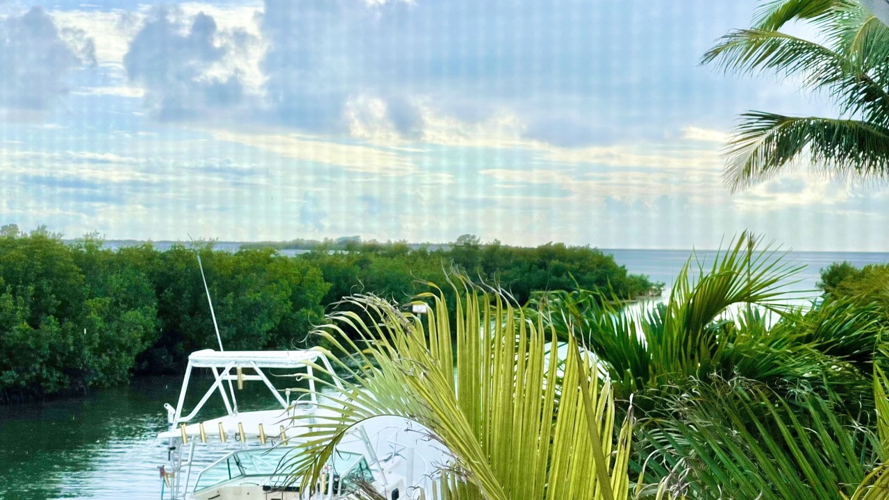 Photo of Outdoor in Summerland Key