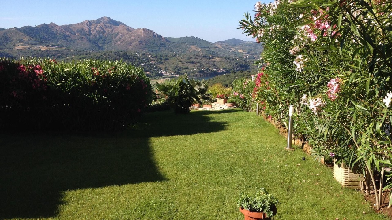 Photo of Outdoor in Capoliveri