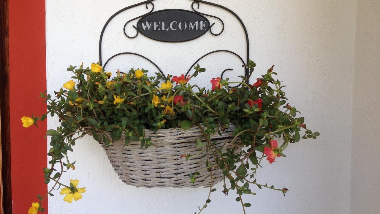 Photo of Outdoor in Capoliveri