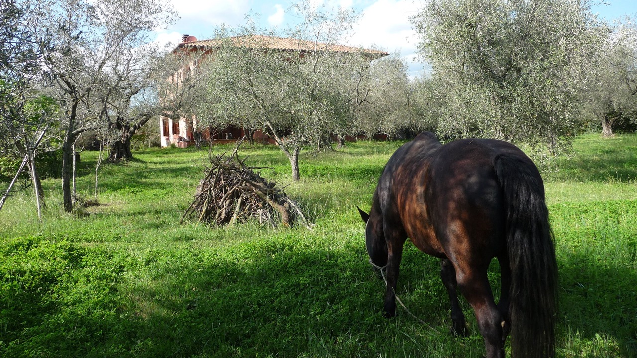 Photo of Outdoor in San Lorenzo Nuovo